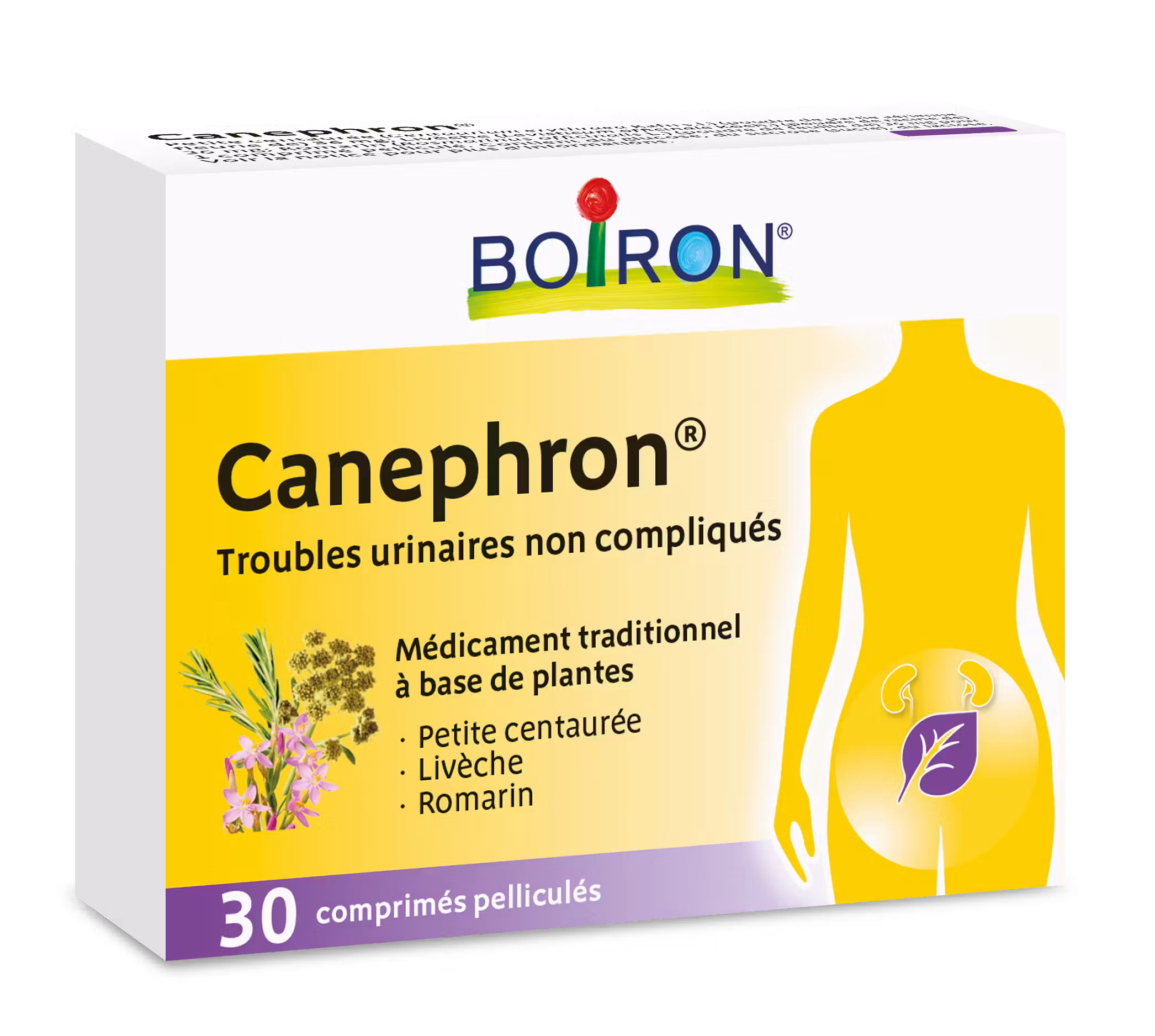 CANEPHRON